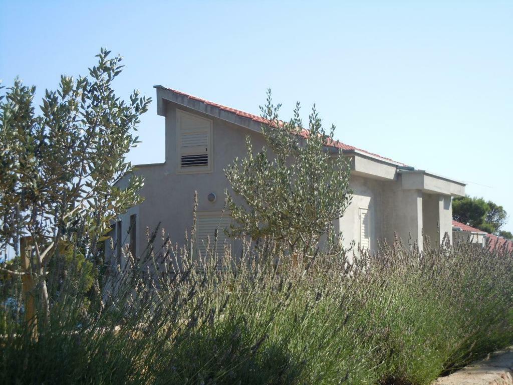 Tri Sestrice Apartment *